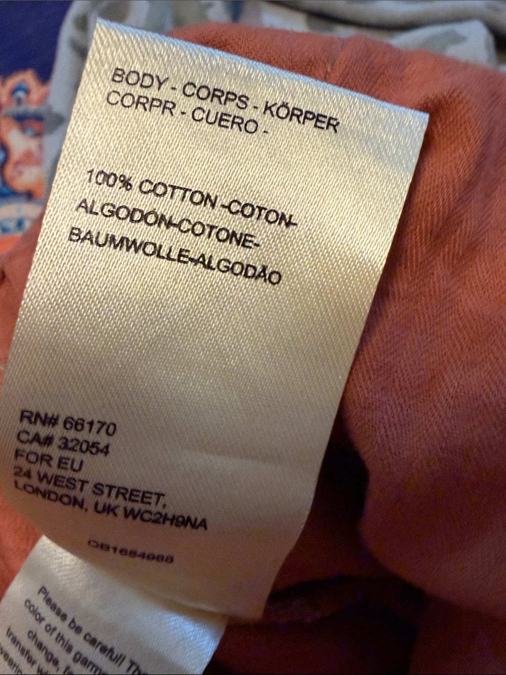 Free People Tahiti Cargo Pants—Orange Corded - Picture 4 of 11